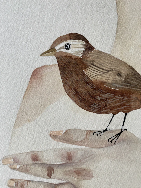 Slečna Tasia, originální obraz, akvarel, 61x48 cm